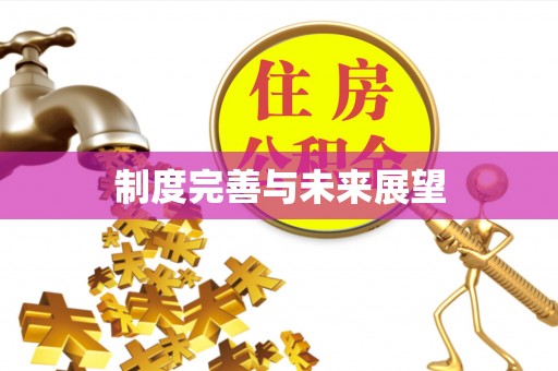 芎林制度完善与未来展望