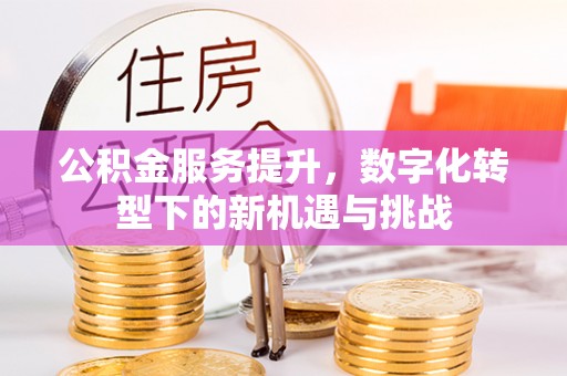 芎林公积金服务提升，数字化转型下的新机遇与挑战