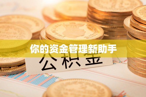 芎林你的资金管理新助手
