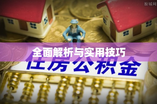 芎林全面解析与实用技巧