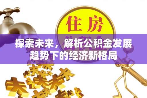 芎林探索未来，解析公积金发展趋势下的经济新格局