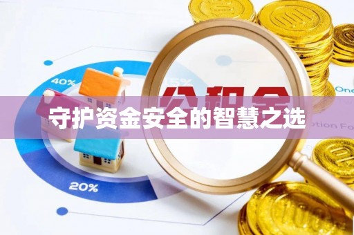 芎林守护资金安全的智慧之选