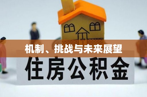 芎林机制、挑战与未来展望